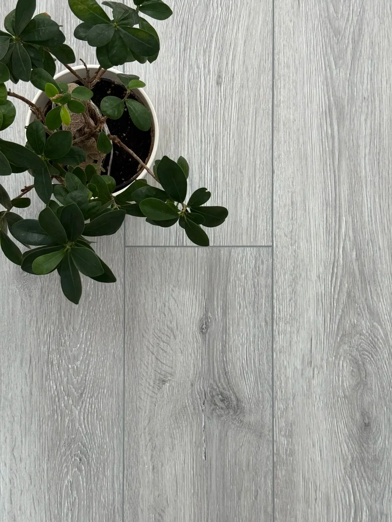 SPC ламинат ICON FLOOR (Айкон Флор) Коллекция AQUAMARINE Дизайн AQ-19 Дуб Писсаро (1220х183х4,5 мм)